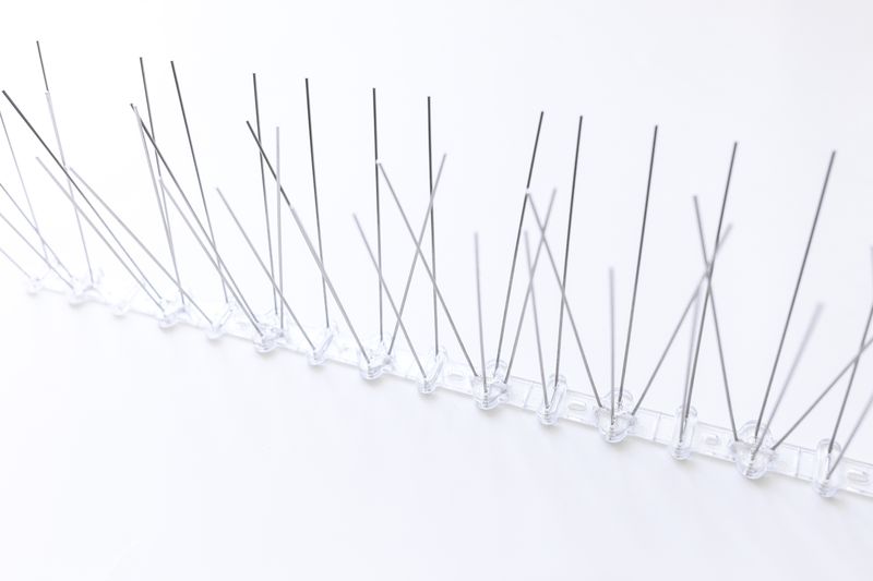 Taubenabwehr-Spikes aus Edelstahl